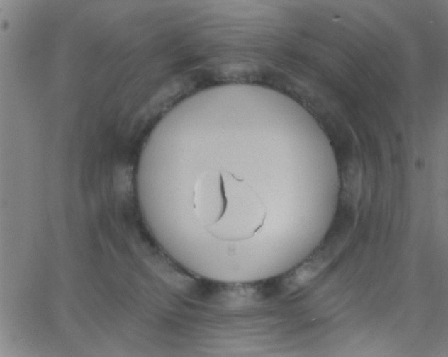 X0000062840278200601272024