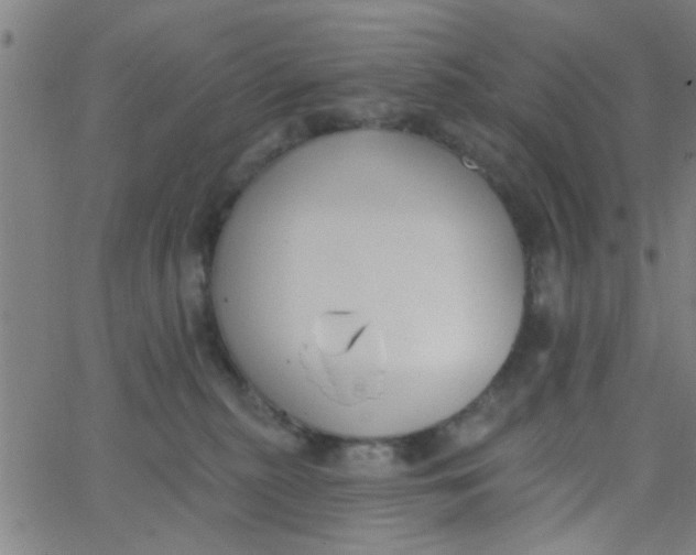 X0000062840279200601272024