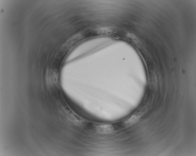 X0000062840281200601272024