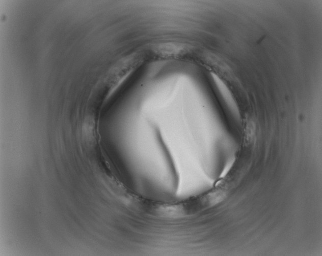 X0000062840283200601272024