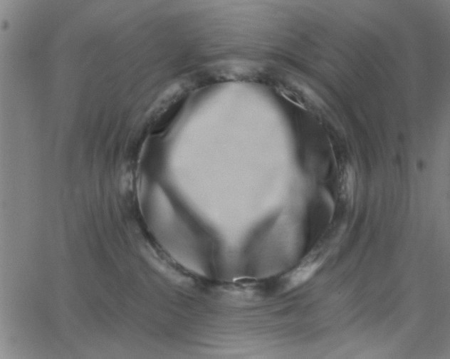 X0000062840284200601272024