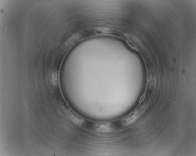 X0000062840285200601272024