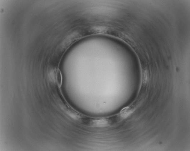 X0000062840286200601272024