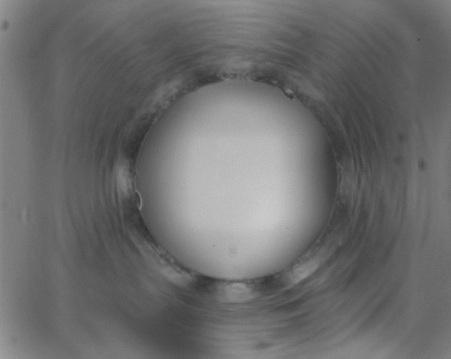 X0000062840287200601272024