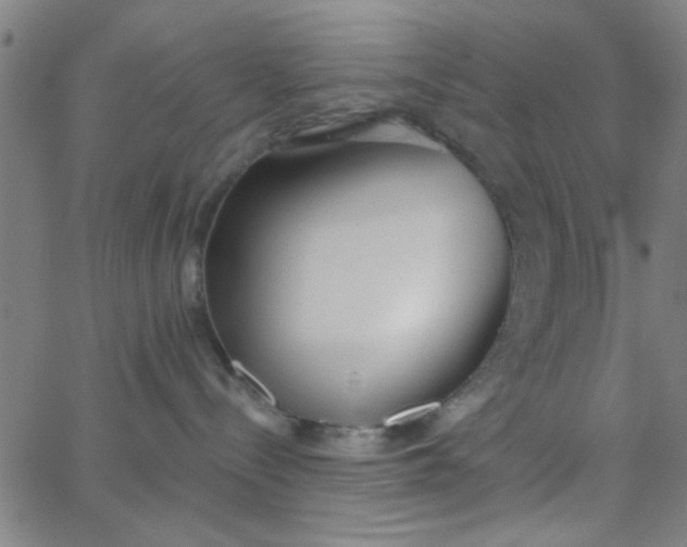 X0000062840288200601272024