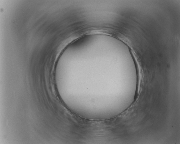 X0000062840289200601272023