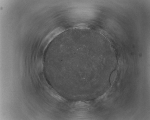 X0000062840290200601272023