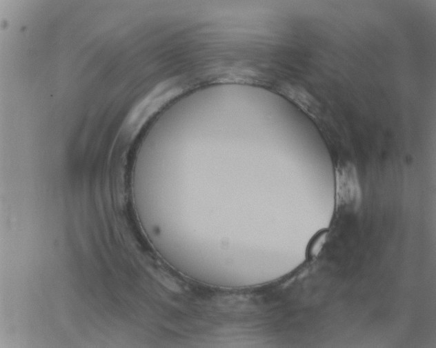 X0000062840291200601272023