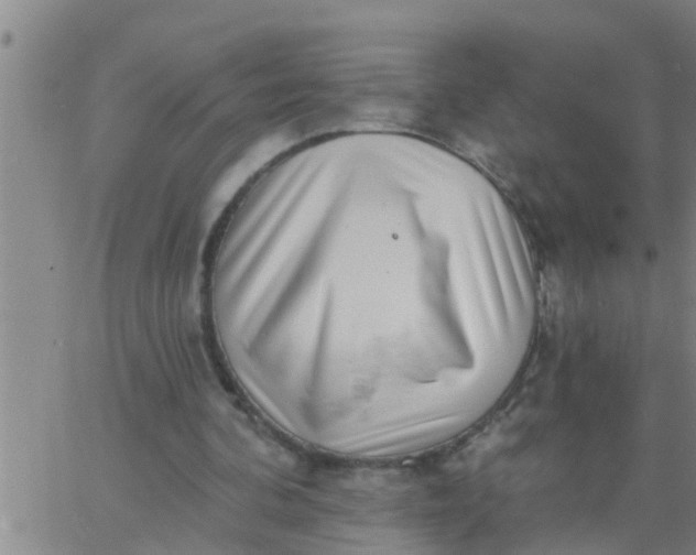 X0000062840292200601272023