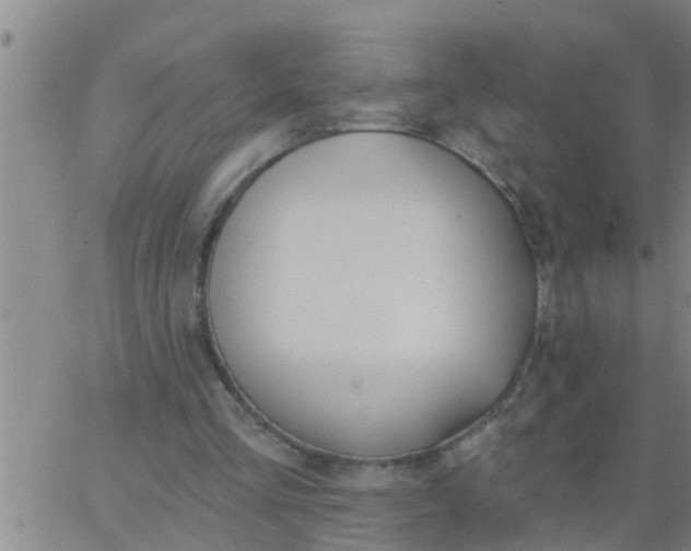 X0000062840293200601272023