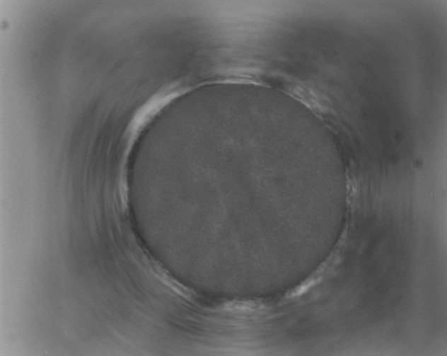 X0000062840294200601272023