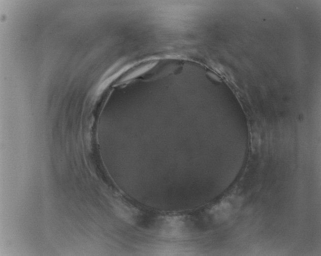 X0000062840295200601272023