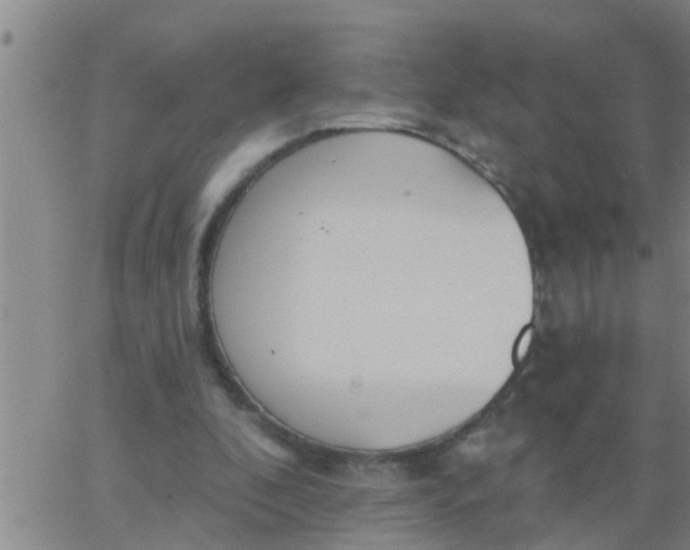 X0000062840296200601272023