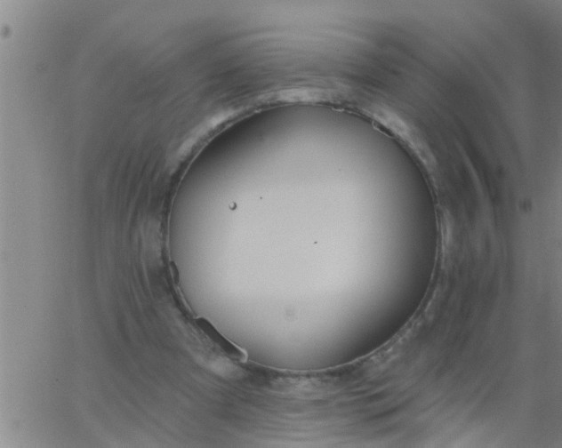 X0000062840297200601272023