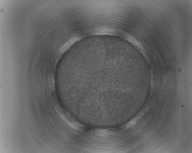 X0000062840298200601272023