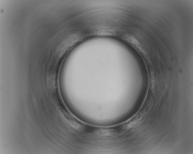 X0000062840299200601272023