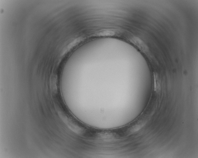 X0000062840300200601272023