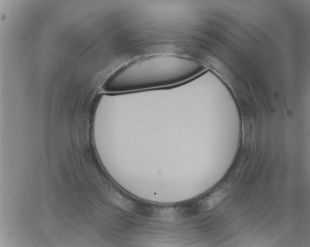 X0000062840301200601272023