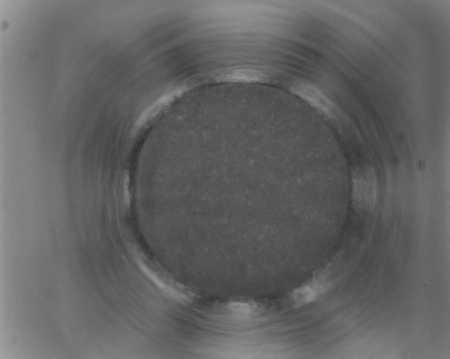 X0000062840302200601272023