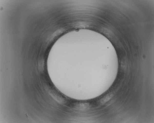 X0000062840304200601272023