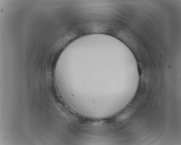 X0000062840306200601272023