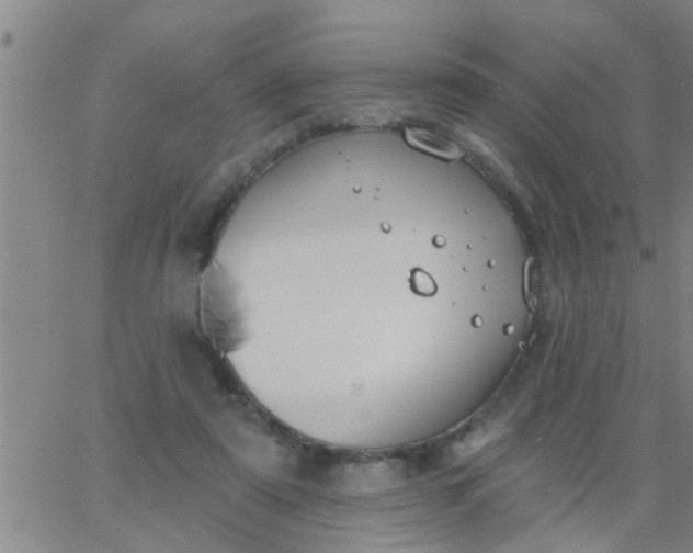 X0000062840307200601272023