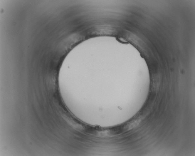 X0000062840309200601272023