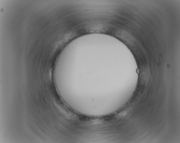 X0000062840310200601272023