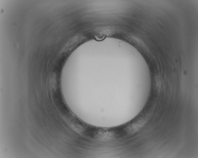 X0000062840311200601272023