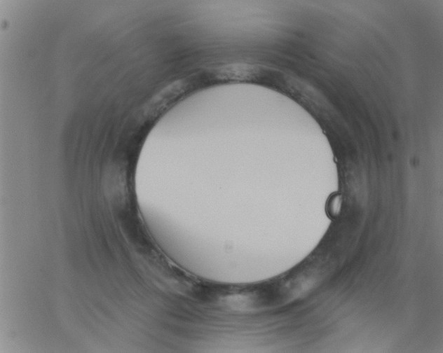 X0000062840312200601272023