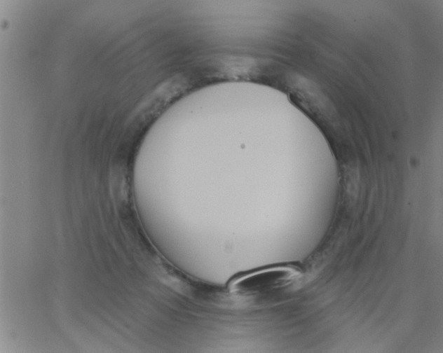 X0000062840313200601272023