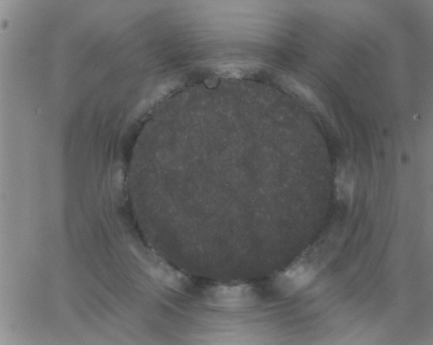 X0000062840314200601272023