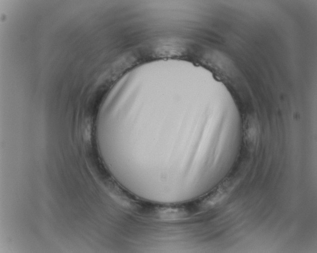 X0000062840315200601272023