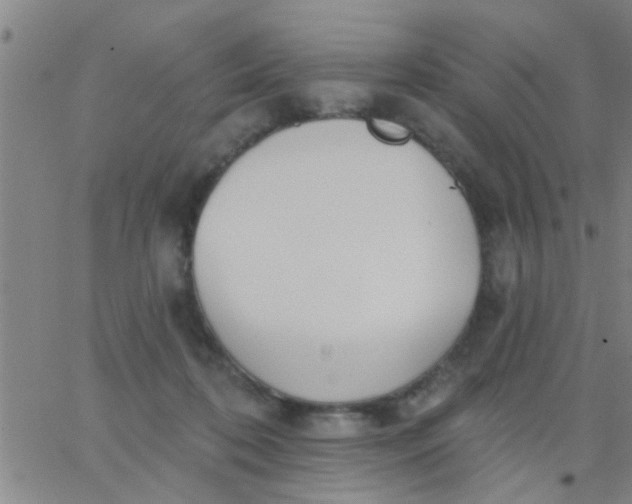 X0000062840316200601272023