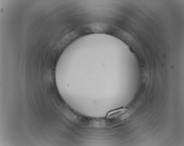 X0000062840317200601272023