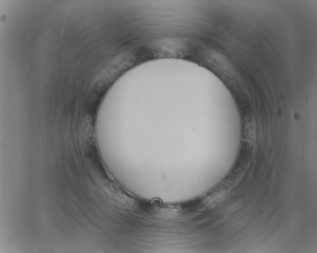 X0000062840318200601272023