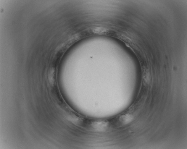 X0000062840319200601272023