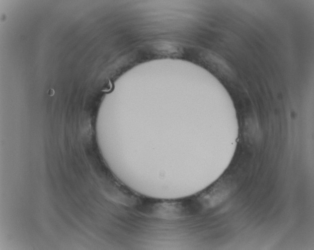 X0000062840320200601272023