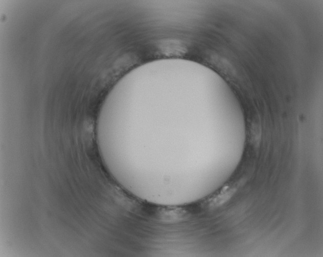 X0000062840321200601272023