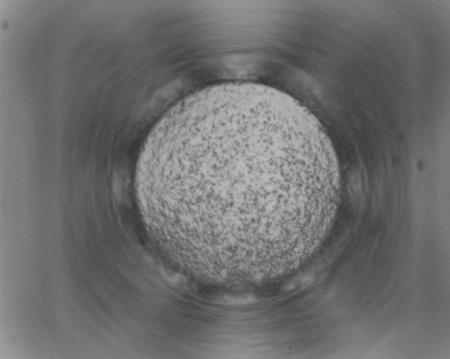 X0000062840322200601272023