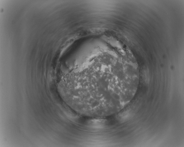 X0000062840323200601272023