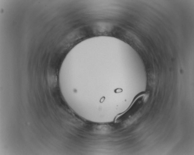 X0000062840324200601272023