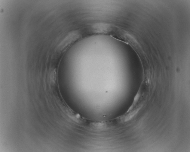 X0000062840325200601272023