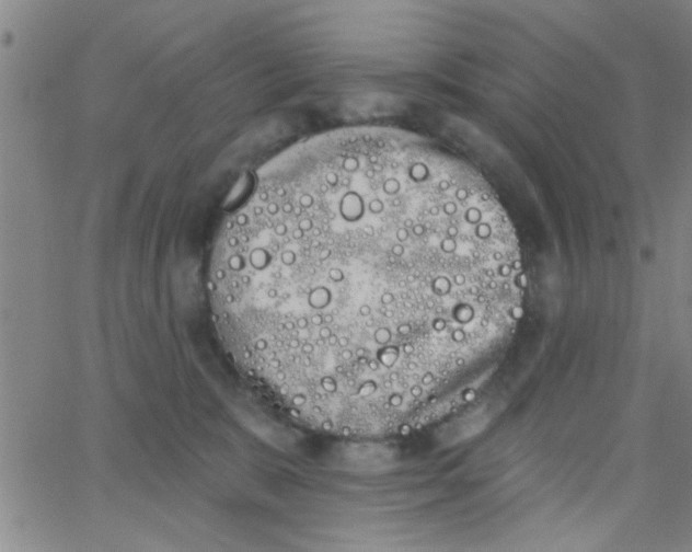 X0000062840327200601272022