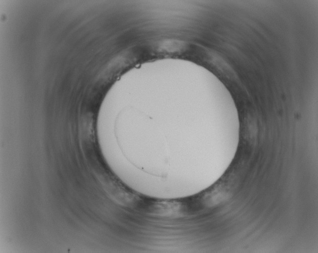 X0000062840328200601272022