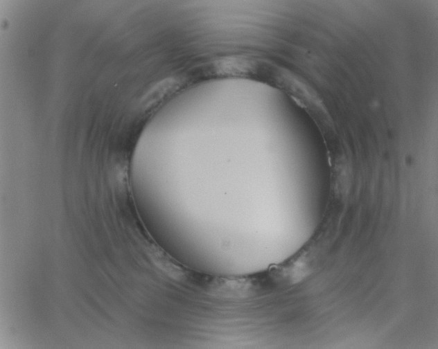 X0000062840329200601272022