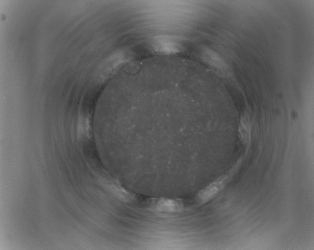 X0000062840330200601272022