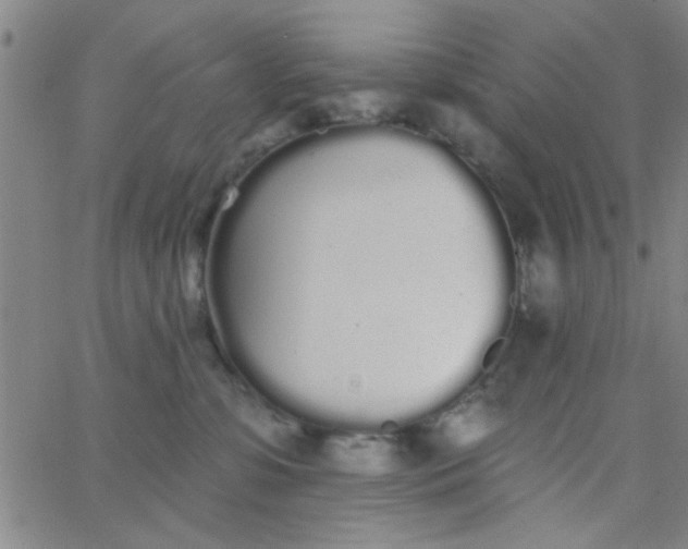 X0000062840331200601272022