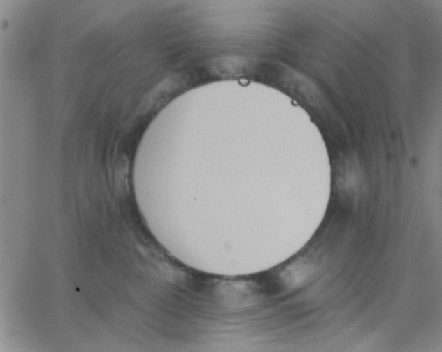 X0000062840332200601272022