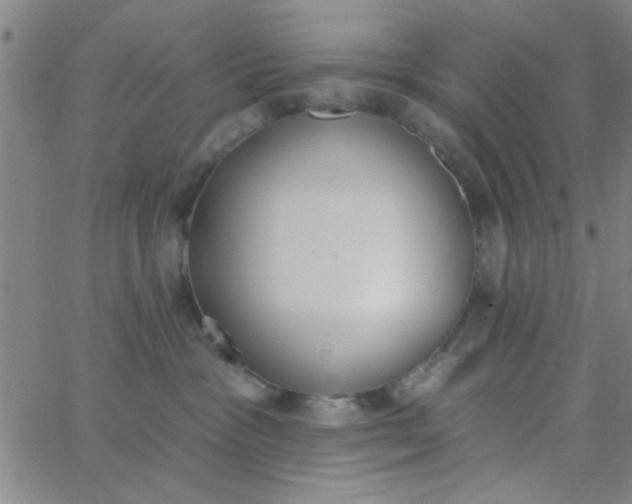 X0000062840333200601272022